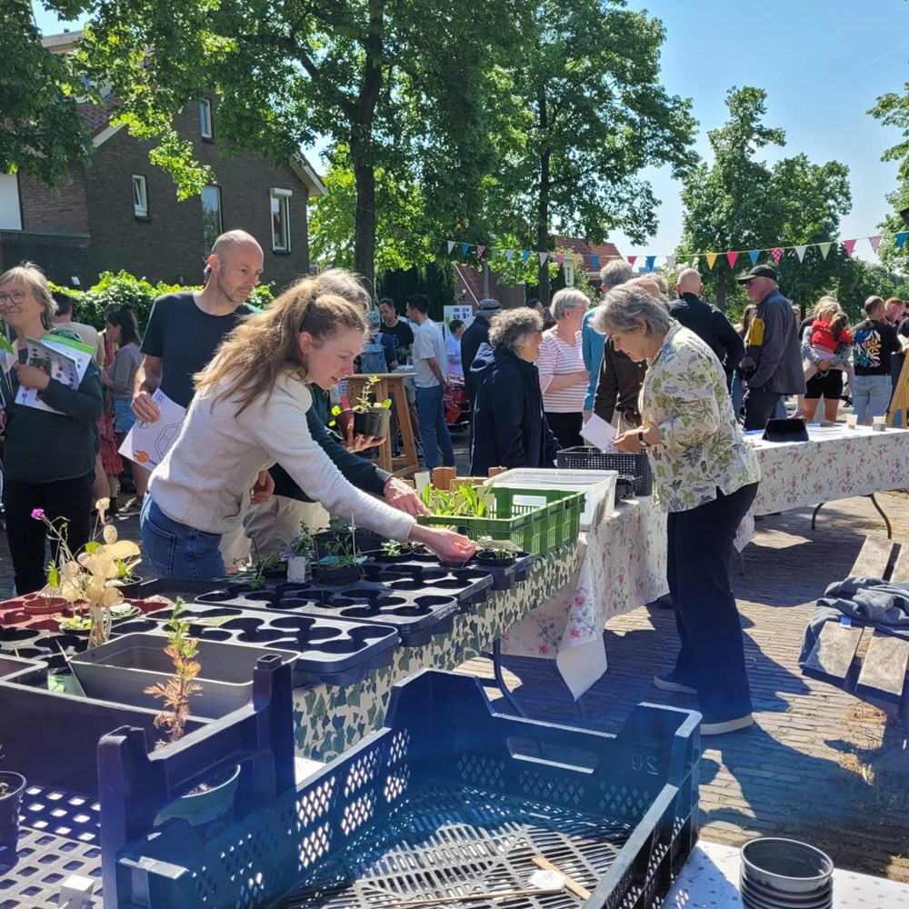 Zonovergoten Lentemarkt
