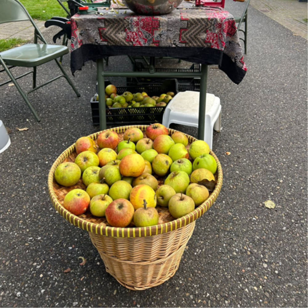 Appeldag Bronbeek op 12 september