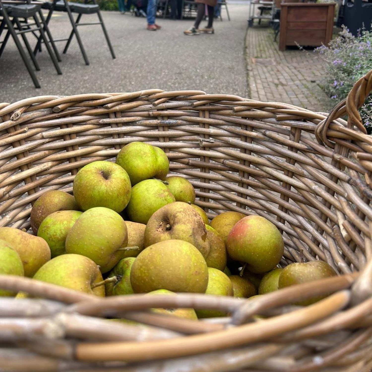 Gezellige wijkdag vol appels en ontmoetingen