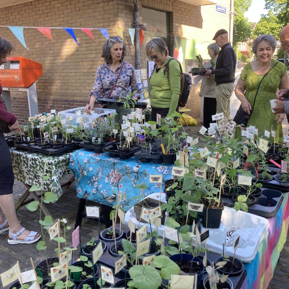 Lentemarkt op zaterdag 9 mei!